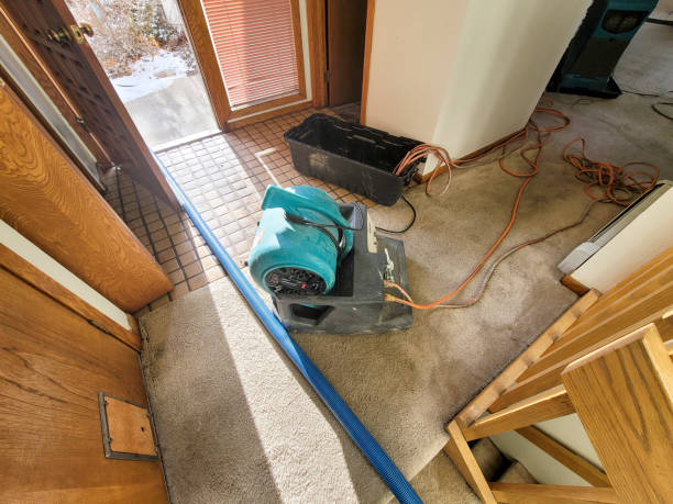 Best Flood damage cleanup  in Bondurant, IA