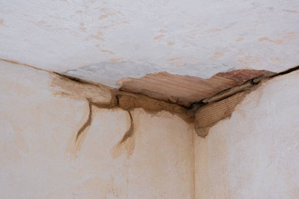 Best Water damage restoration mold remediation  in Bondurant, IA