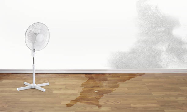 Best 24-hour water damage restoration  in Bondurant, IA