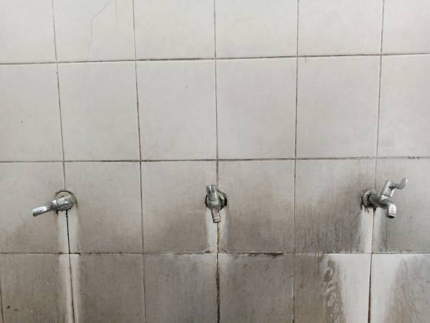 Best 24/7 water damage repair  in Bondurant, IA