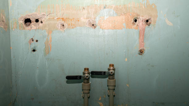 Best Local water damage restoration  in Bondurant, IA