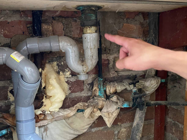 Best Basement water damage restoration  in Bondurant, IA